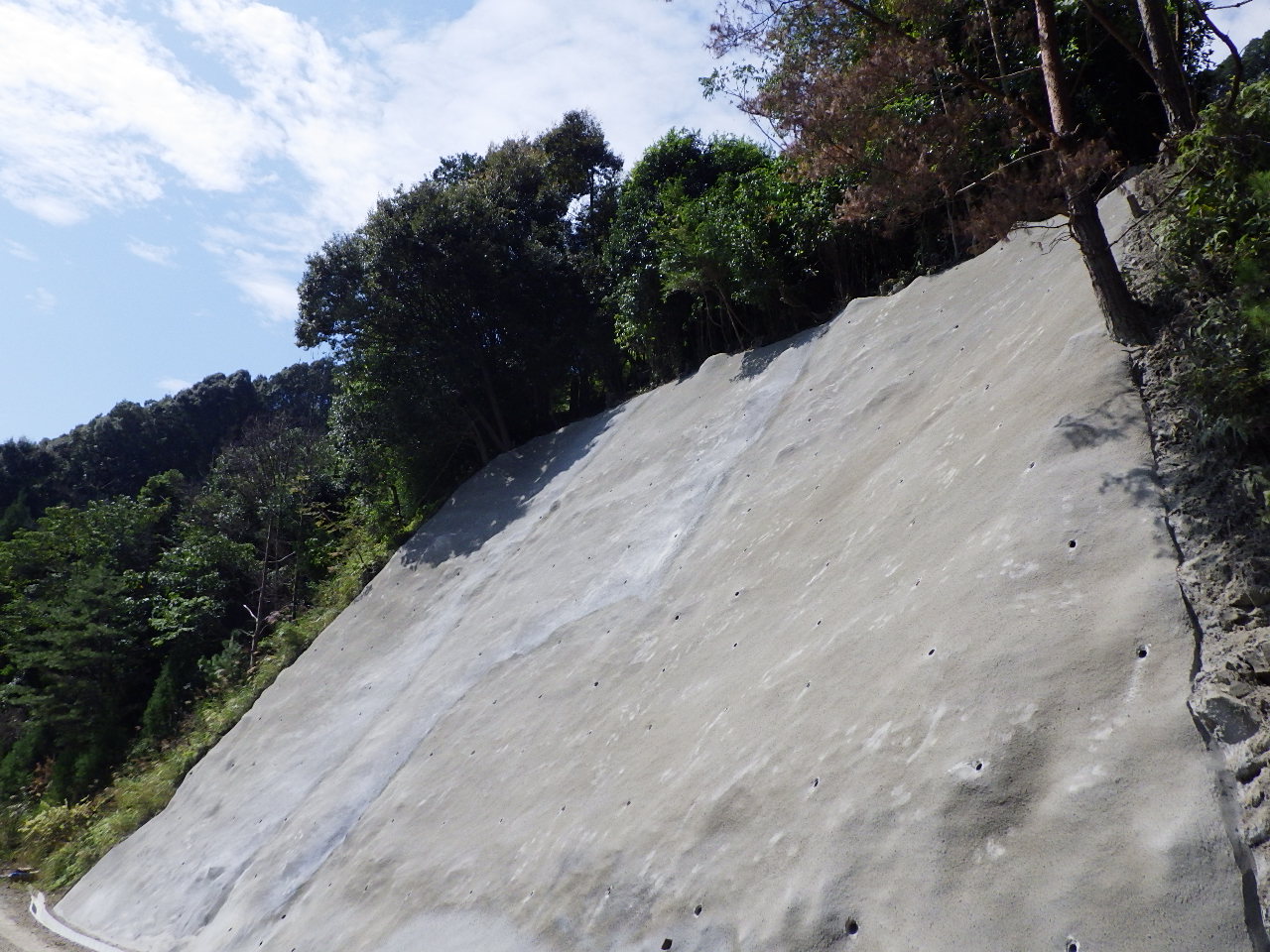 R5 林道　下塚・大井線